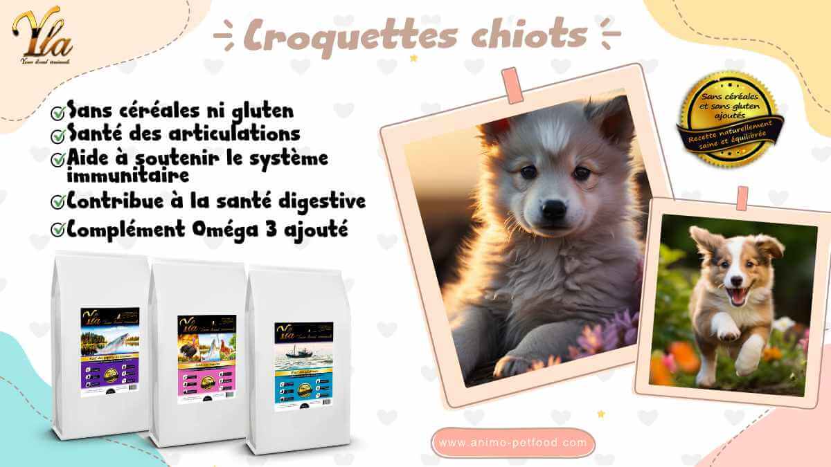 croquettes sans cereales pour chiot